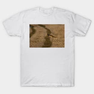 Pheasant in flight T-Shirt